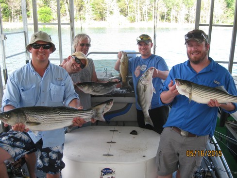 Nice Striped Bass